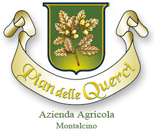 Brunello wine of Montalcino in Tuscany